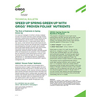 Spring Green Up
